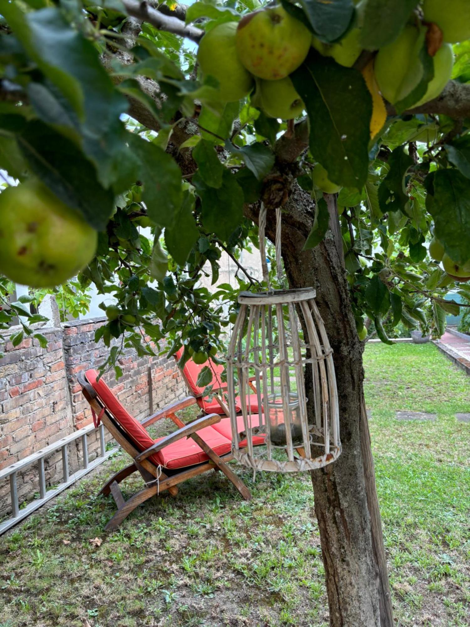 Apartamento Haus Rheinleben Boppard Exterior foto